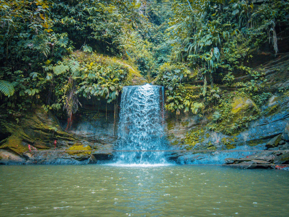 TOUR CASCADA DE CARPISHUYACU / PISHURAYACU