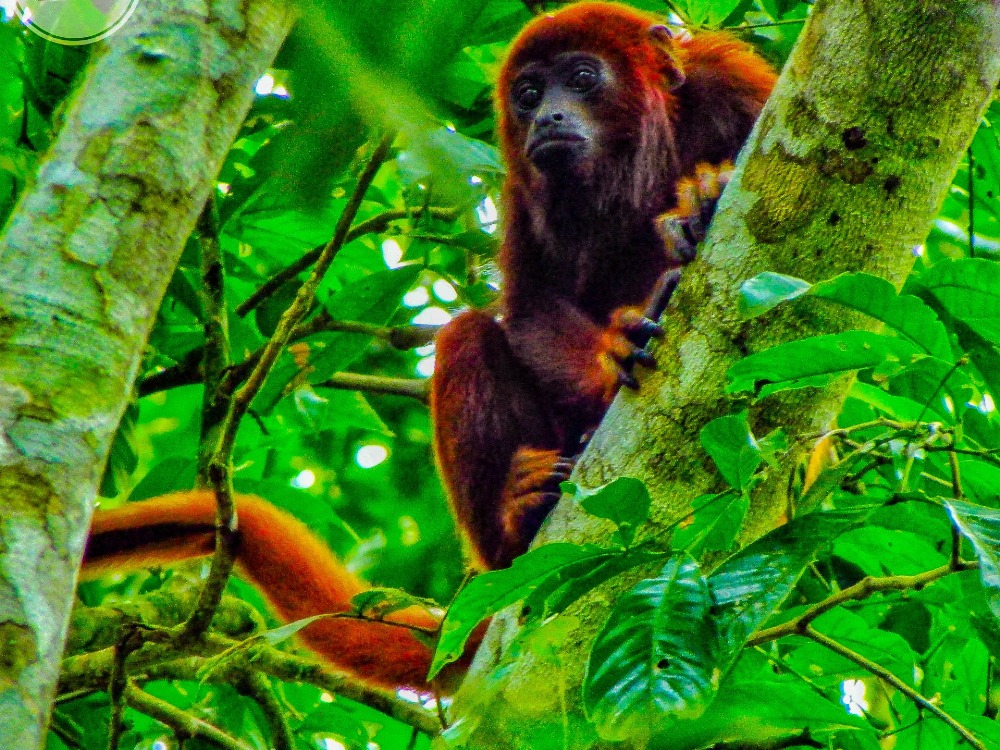  TOUR SANTA ELENA Y LAS CUEVAS